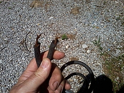 Get Rid of Covered safety cables-photo1200.jpg