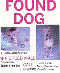 Attn: ALL DOG LOVERS-found-doggie.jpg