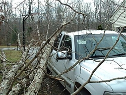 Look what they did to my Truck!-dscf0001.jpg