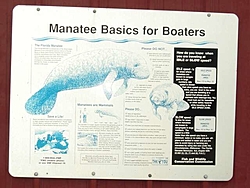 POWERBOAT Magazine manatee Article-dsc01031.jpg