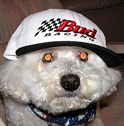 Man's Best Friend, Beside His Boat-hat.jpg