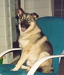 Man's Best Friend, Beside His Boat-taz.jpg