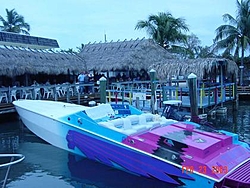 APACHE challenge??????-41-snappers.jpg
