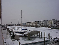 Love Winter?-wildwood2.jpg