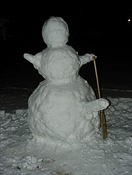 OT: Ignore this post if you're from Florida..-snowman.jpg