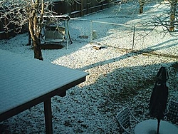 Who sent the sleet and snow to Austin?-im000219.jpg