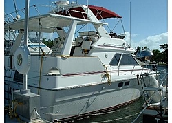 Bimini Top-61265394_1.jpg