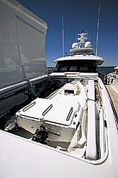 The Yacht Thread.-detender.jpg