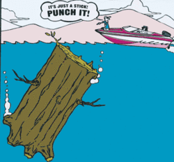 Anyone tow an older Velocity.......-cartoon.gif