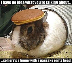 Brand new thread on new STEPS-bunnypancake.jpg