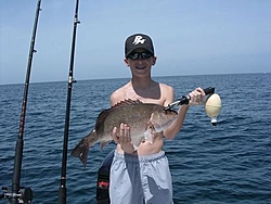 It's Awful nice in FL-dave%5Cs-mangrove-snapper-22-inch-4.5-pounds.jpg