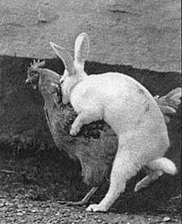 Happy Easter-happy-easter.jpg