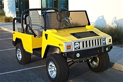 FINALLY: Golf Carts for the LA area!!!!-h2.jpg