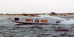 and Still More Biloxi Photos-30-duck_1.jpg