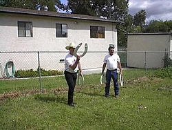 With fuel prices going sky high I have been looking for something more economical-redneck-horseshoes.jpg