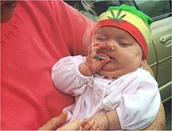 Hey!!!!!!!!!!!!!!!!!!!!!!-babyweed.jpg