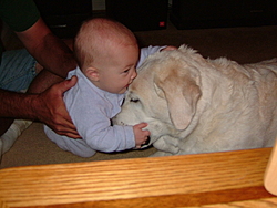 What other dog would let you do this?-2004_0723amanda-reno0014.jpg