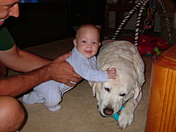 What other dog would let you do this?-2004_0723amanda-reno0017.jpg