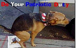 OT: Do Your Patriotic Doody !!!-dog.jpg