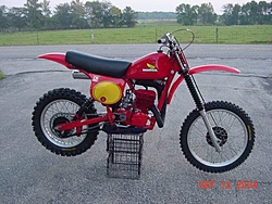 Any need these before ebay?-elsinore250r.jpg