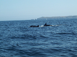 Lets see where you boat-anacapa.jpg