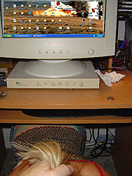 What does your computer &quot;desktop&quot; look like?-ferrarichat.com-what-does-your-desktop-look-like.jpg