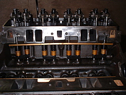 whats a &quot;rev kit&quot; ???-350-roller-mtr-2mod.jpg