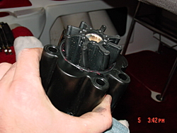 How to Guide: Changing you sea-water pump impeller-dsc01875.jpg