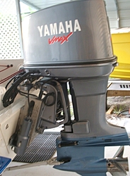 Yamaha Low Water Pickup-velocity1-017.jpg