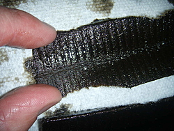 Normal Oil Filter Particles?-dscn4516.jpg