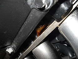 What is Causing This?-dscn0487.jpg