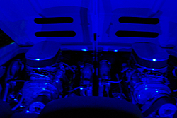 Post your engine pics!-neon.jpg