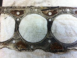 What is wrong with these head gaskets-photo-1gasket.jpg