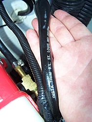 My Insta-Trim hose is HUGE!!!-100_0045.jpg