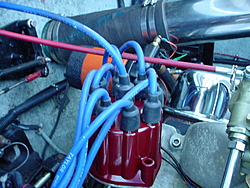 Help...Engine backfires!!-dsc00443.jpg