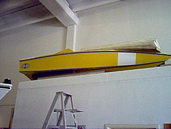 12' mini hawk-mini-02.jpg