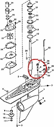 Winterizing-Alpha Drive Question-alpha-lower-2.jpg