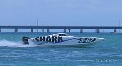 Pics from Marathon Sunday..-shark.jpg