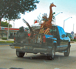 Key West Lodging-p1010269.jpg