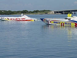 St. Pete Pics &amp; Pits-duck1.jpg