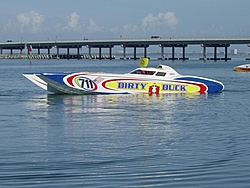 St. Pete Pics &amp; Pits-duck2.jpg