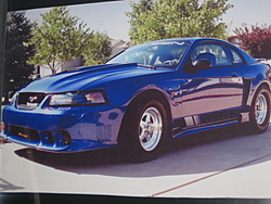 Street Racing Cars-moostang-004.jpg