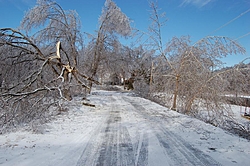 Damage from Storm-port_carlos_ice_jan162007-020.jpg