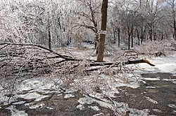 Damage from Storm-port_carlos_ice_jan162007-022.jpg