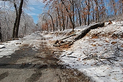 Damage from Storm-port_carlos_ice_jan162007-023.jpg