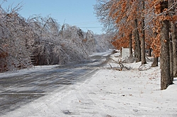 Damage from Storm-port_carlos_ice_jan162007-025.jpg