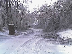 Damage from Storm-coves3.jpg