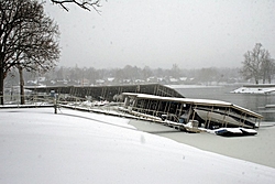 Snow Damage-east-bay-monkey-island.jpg