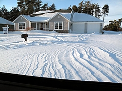 Snow Damage-d.jpg