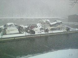 Snow Damage-carlos-dock-2.jpg